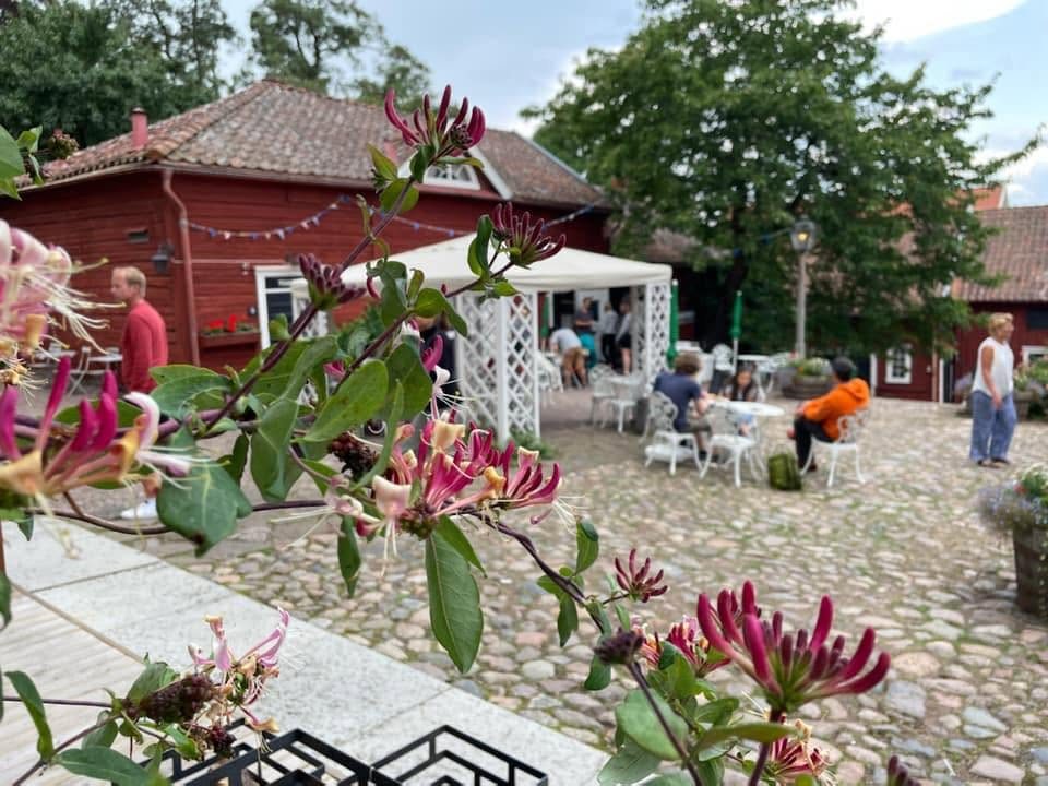 Hallska Gårdens trädgård med blommande grenar, röda trähus och uteservering
